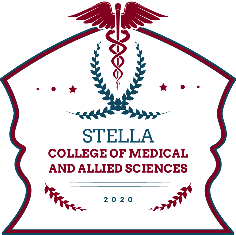 World Physiotherapy Day celebration